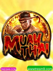 MuayThai: Um Mergulho no Universo do Jogo e Suas Regras com TRESM9.COM
