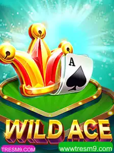 Descubra o Fascinante Mundo de WildAce: A Nova Sensação dos Jogos de Cartas Online